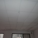 DSCN4168
