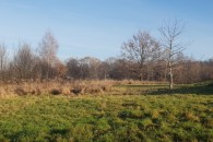 Słoneczne działki budowlane ul. Orszańska 12 i 13 ar - Podgórze Kraków