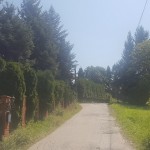 zolla